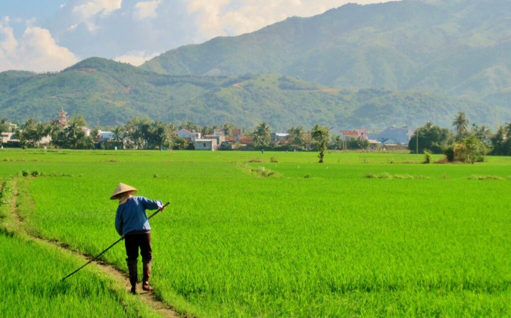 Dịch vụ chuyển đất nông nghiệp sang đất thổ cư tại Đà Nẵng